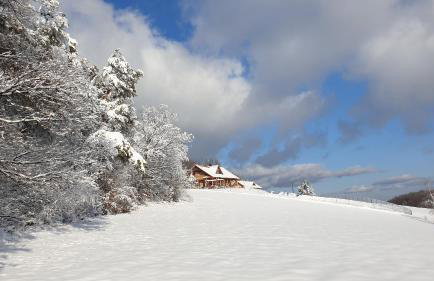 Dom na Kamieńcu - Photo 46