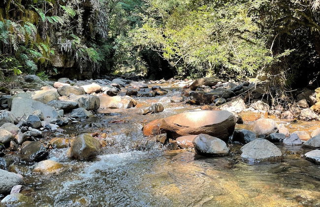 Morada do Guardião - Foto 46