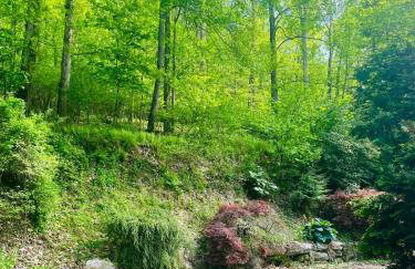 Hidden River Lodge at Hawk Mountain - Foto 51