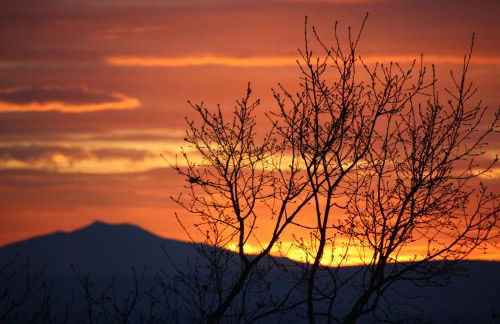 Genius Apartments - Foto 7