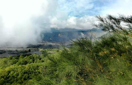 La terra dei ciliegi tra l'Etna e il mare di Taormina - Foto 65