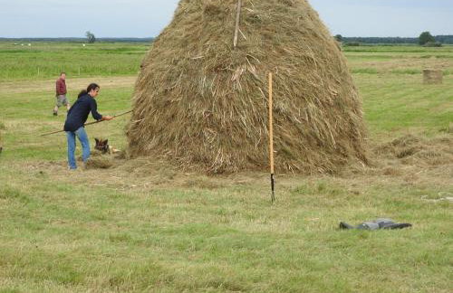 Agroturystyka Biebrzańska Kraina - Foto 44