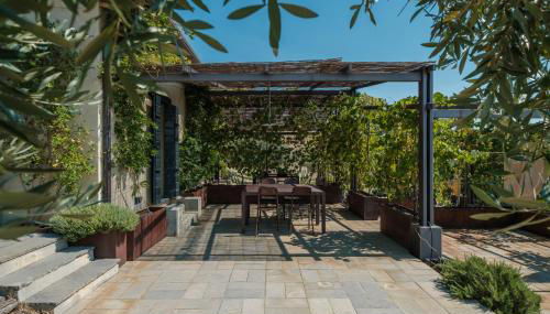 Podere San Pasquale - La Vigna - Foto 5