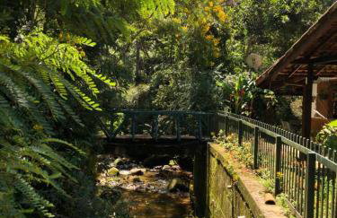 SITIO SIMPLESMENTE DEMAIS - Foto 48