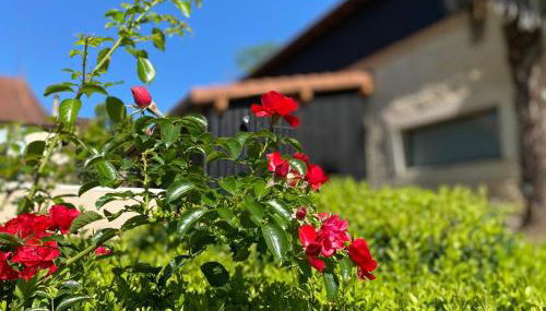 Superbe grange en Dordogne, au cœur de Trémolat - Foto 5, Garden, Garden view