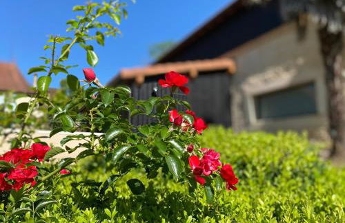 Superbe grange en Dordogne, au cœur de Trémolat - Foto 5