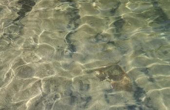 Recanto do Mar - Foto 42