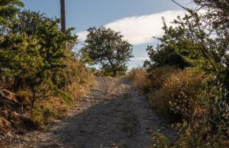 Secret Garden, a little paradise of tranquility. - Photo 22