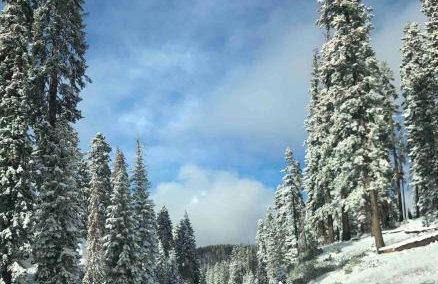 BunkHouse 1960's Camp Vibe with Timeless Wet Bar - Foto 38