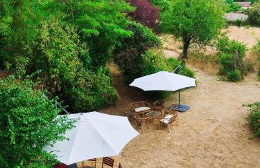 Les Studios Grenouilles - Foto 30