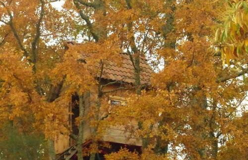 Quinta das Colmeias - Foto 16