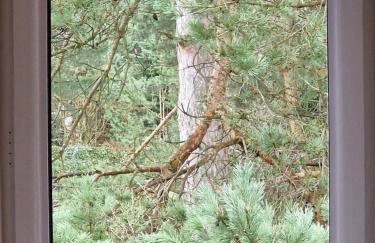 Przestronny, komfortowy dom - Foto 30