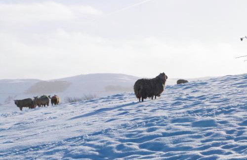 1 Hull House Cottage - Photo 21