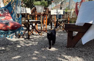 Pousada Mar Aberto Pinheira - Foto 39