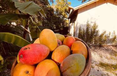 Bienvenidos a la Pequeña Selva de Legnalife - Foto 24