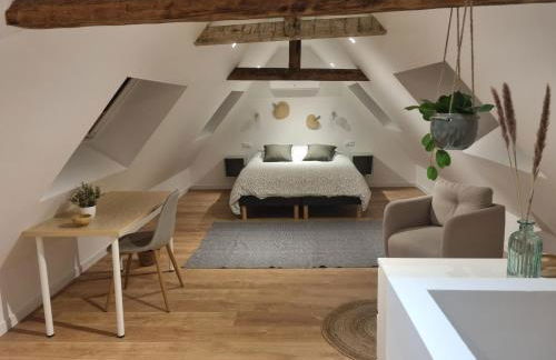 Chez Clément et Mathilde -Duplex climatisé Hyper centre , tout équipé - Foto 15