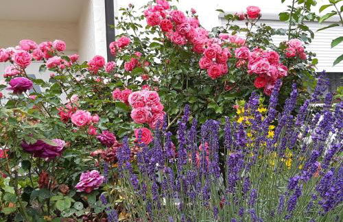 Ferienwohnung Heimatliebe - Foto 23