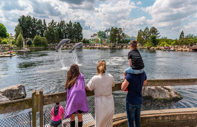 Luxury Chalet With a Dishwasher - Foto 51