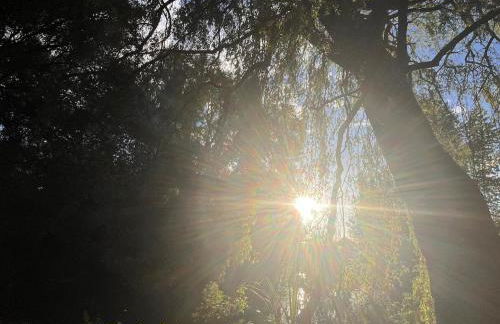 Riverside Studio - Foto 38