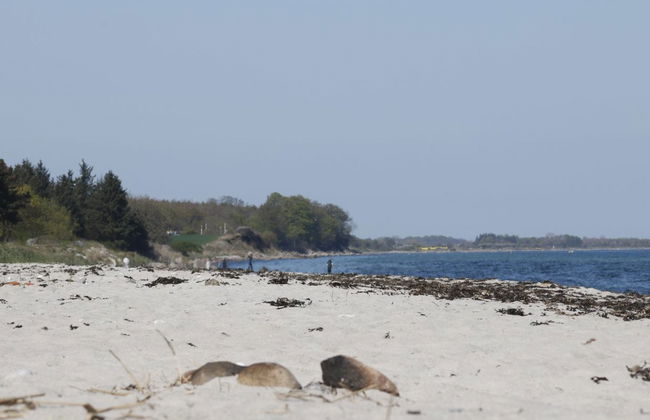 "Bridgette" - 100m from the sea - Foto 3