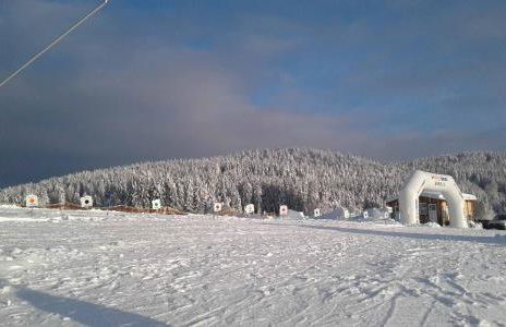 Ferienwohnung Altes Schulhaus Greising - Foto 23