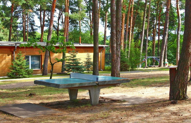 Feriendorf am Weinberg, Dobbrikow - Foto 2