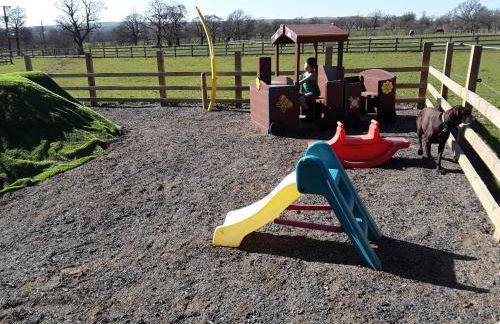 Mallard at Spring Head Farm - Foto 26