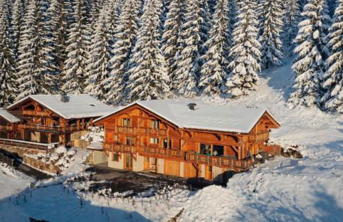 Chalet Arpitan - les Carroz - Grand Massif - Foto 1