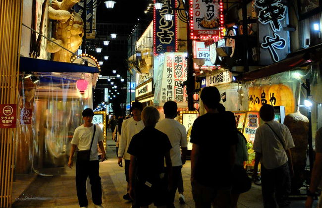 Tour nocturno por Osaka - Foto 7