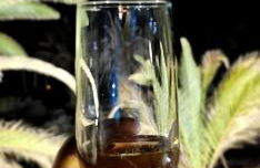 Casa Africa - Photo 59