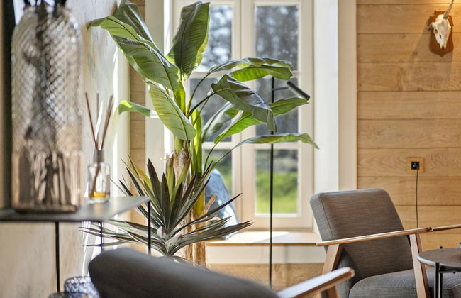 Mansion in Aywaille With Sauna - Foto 14