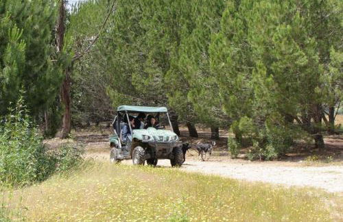 Monte da Tojeirinha - Foto 32