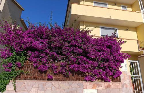 Bouganville - Foto 2