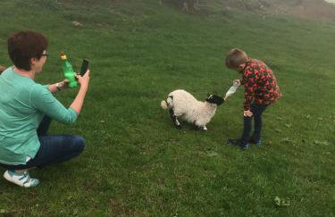 Sea View Farmhouse - Foto 67