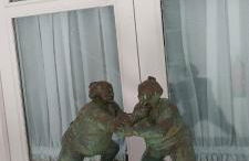 el 2 de Flamenco BajoB - Foto 45