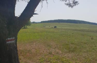 Przystanek Letnisko - Foto 39