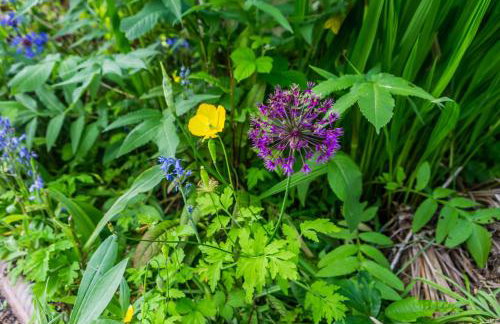 Unique City Abode - Foto 38