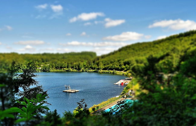 Romantic Mansion in Strotzbusch by the Forest - Photo 22