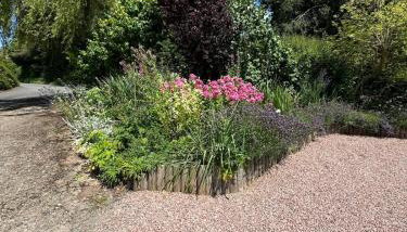 Old Farm Cottage - Foto 2