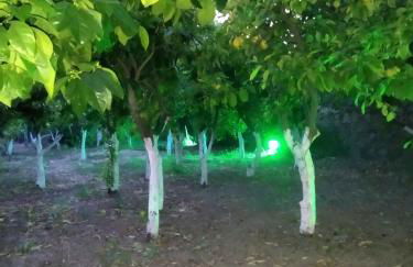 Περιβόλι του Οδυσσέα - Photo 41