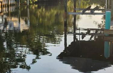 Dockside Delight Waterfront Gulf Access 4 mins to Beach - Foto 44