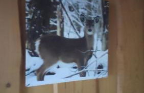 Maison de montagne avec vue panoramique - Foto 27