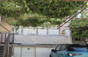 Dalmato - Photo 10