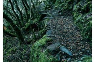 Casa rural La calleja de las hurdes TRCC00555 - Foto 63