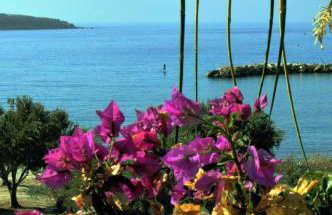 Nikoleta's Studios - Photo 39