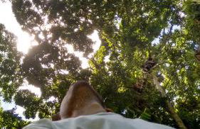 Carneiro Caiçara chalés- Casinhas aconchegantes em Ubatuba - Foto 10