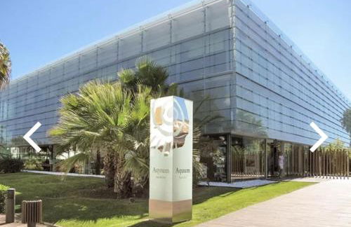 Dafne's Beach - Foto 30