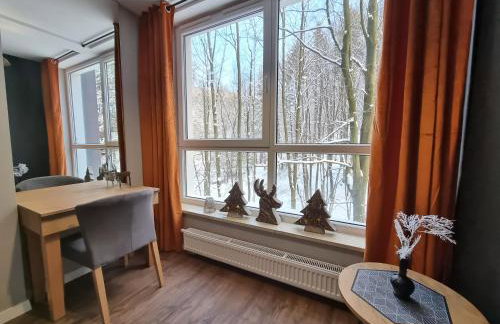 Apartament SPA 10 Resort Kozubnik blisko Szczyrk - 5D Apartments - Foto 12