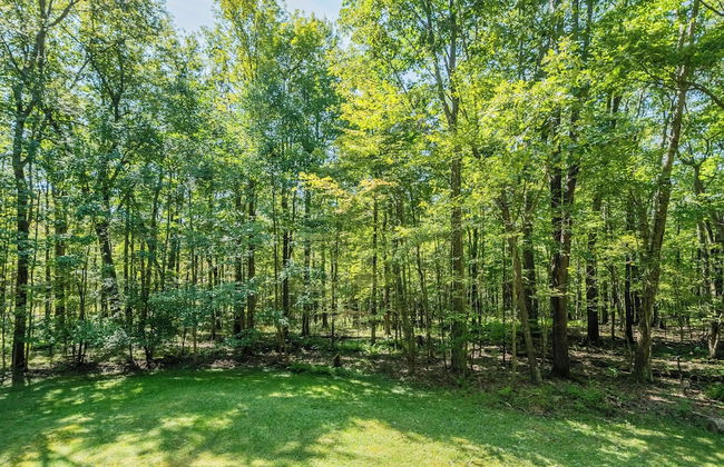 Woodside Retreat by Taylor Made Deep Creek - Foto 25