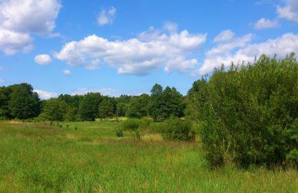 Dworek Świdwie, Górny Apartament & Harcówka - Foto 18